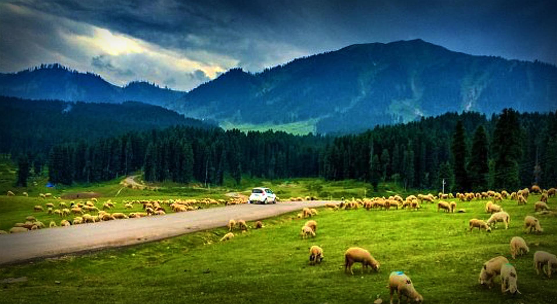 Doodhpathri – Kashmir’s Untouched Meadow of Milk and Mist