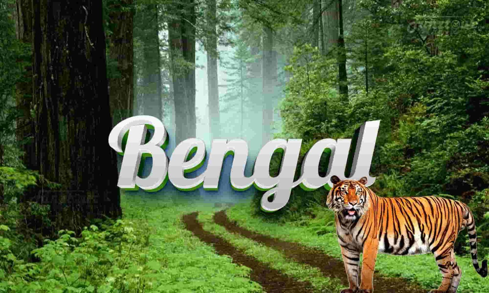 BENGAL