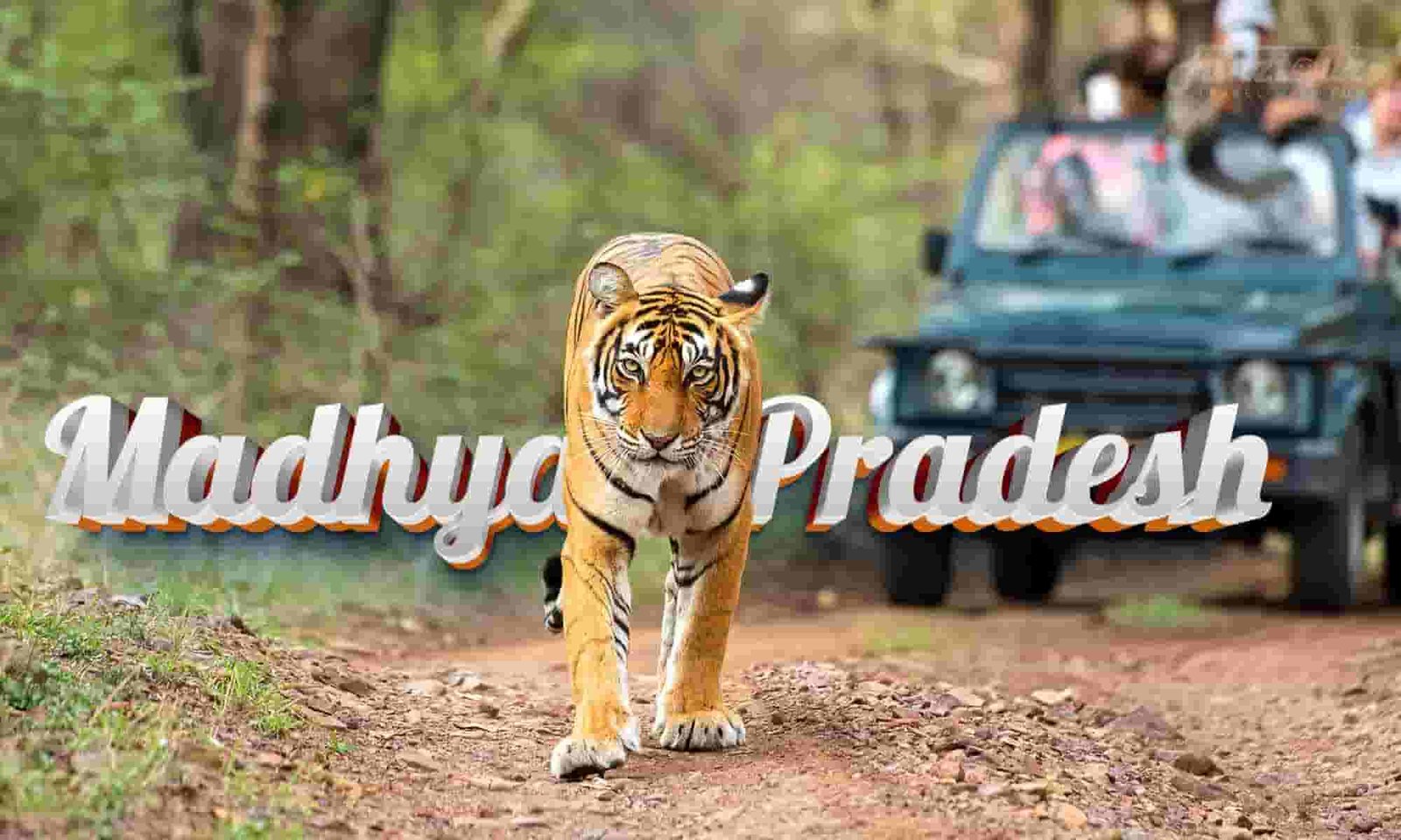 MADHYA PRADESH